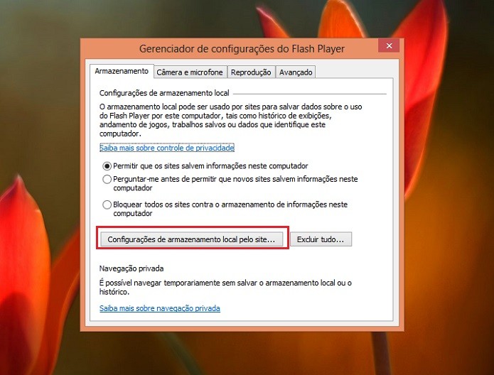 Descubra quais sites já tiveram acesso a suas informações (Reprodução/Taysa Coelho)