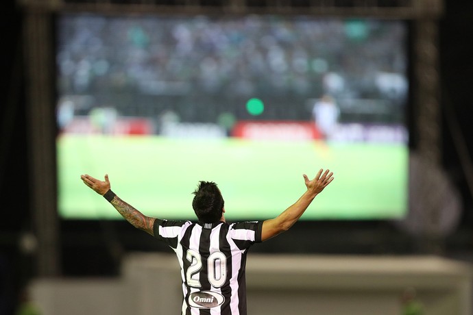 Salgueiro Botafogo (Foto: Vitor Silva / SSpress / Botafogo)