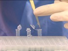 Cientistas fazem sequenciamento genético completo do vírus da zika