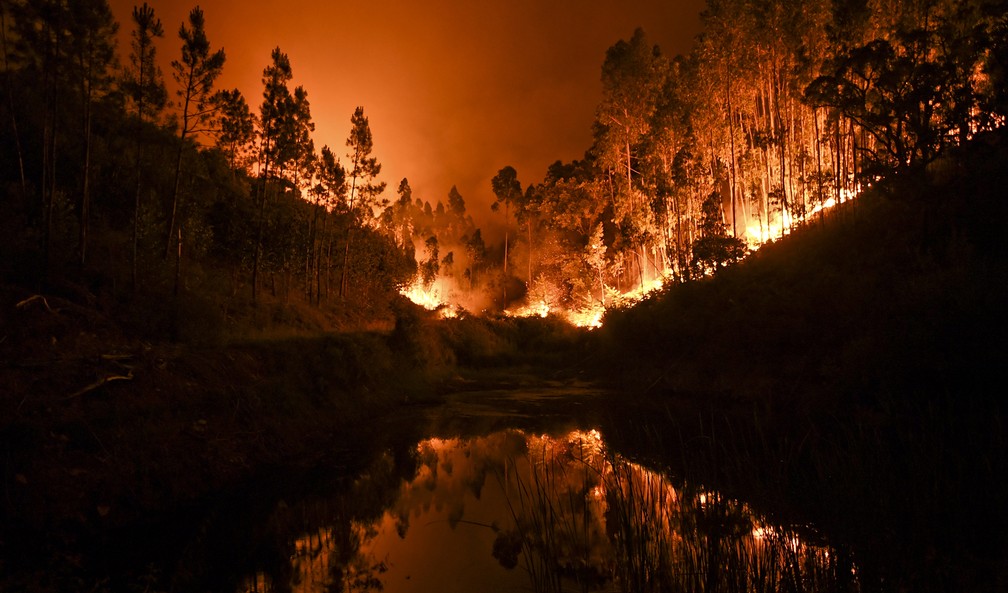 Incêndio florestal em Portugal deixou mais de 60 mortos (Foto: Patricia de Melo Moreira/AFP)