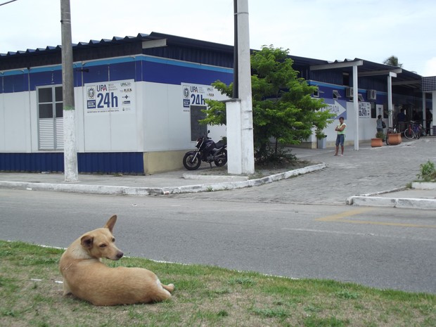 cadela em frente a unidade de pronto atendimento de cabo frio (Foto: Heitor Moreira/G1)