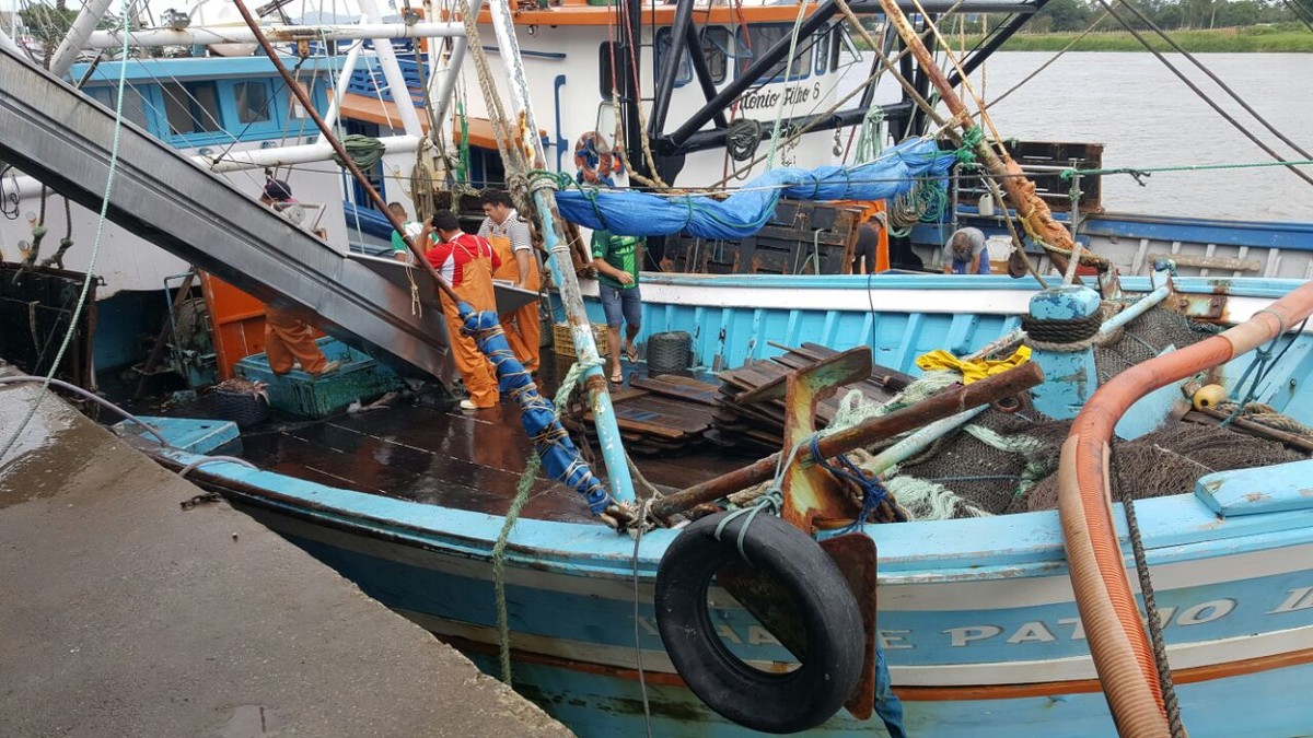 Ibama apreende 12 toneladas de pescados em Navegantes | SC ... - Globo.com
