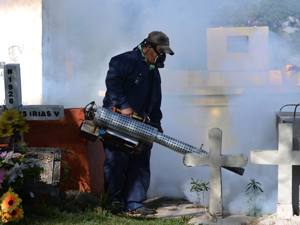 Agente de saúde borrifa jardim em Tegucigalpa, a capital de Honduras, em que ainda não houve surto do zika (Foto:  AFP Photo/Orlando Sierra)