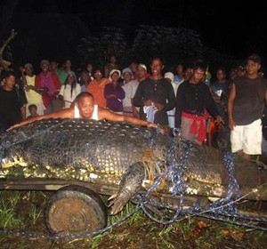 Crocodilo de 6,17 m entra para o Guinness como maior do mundo (AP)