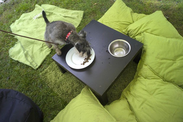 Restaurante fica em Pardubice (Foto: Michal Cizek/AFP)