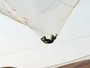 Americano é o primeiro a saltar de 7.620 metros sem paraquedas