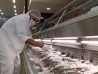 Consumo de peixe durante a Semana Santa aquece o comércio de Palmas 