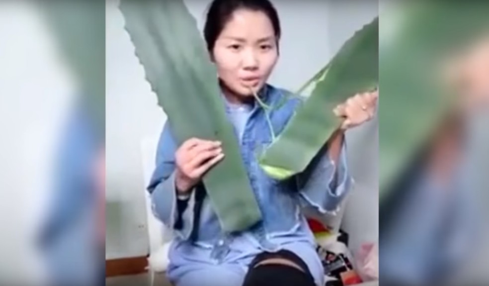 Vlogueira Zhang confundiu Aloe Vera com a venenosa Agave Americana (Foto: Reprodução/YouTube)