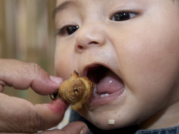 Bebê come larva no Equador (Foto: Reuters/Guillermo Granja)