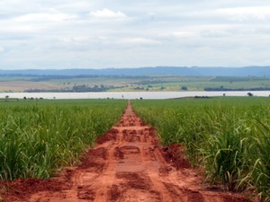 Área loteável de fazenda é de 9 milhões de metros quadrados - Piracicaba (Foto: Thomaz Fernandes/G1)