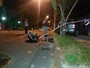 Carro bate contra árvore e motor é arremessado em rua de Porto Alegre Carro bate contra árvore e motor é arremessado em rua de Porto Alegre
