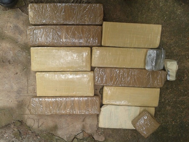 Droga apreendida em Rosário, MA, foi descoberta após denúncia anônima (Foto: Divulgação/Polícia) Droga apreendida em Rosário, MA, foi descoberta após denúncia anônima (Foto: Divulgação/Polícia)