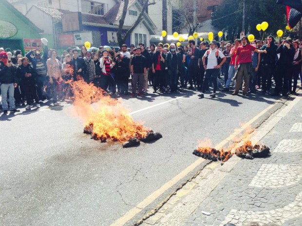Manifestantes colocam fogo em boneco que representa autonomia dos universitário (Foto: Thaís Skodowski / G1)