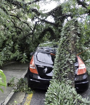 Chuva causa alagamentos e 
quedas de árvores em São Paulo (Maurício Camargo/Brazil Photo Press/Estadão Conteúdo)