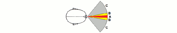 Campos de visão central sem giro de cabeça (A), com giro de cabeça (B) e periférica (C). (Foto: Colégio Qi)