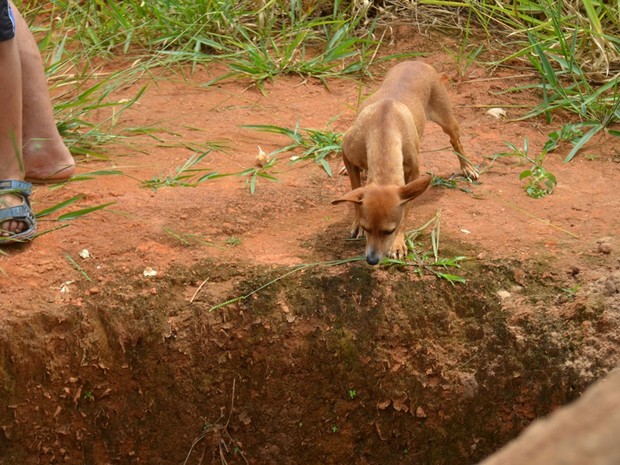 Cadelinha encontrou o menino no buraco do terreno baldio (Foto: Carlos Franco/Extra de Rondônia)