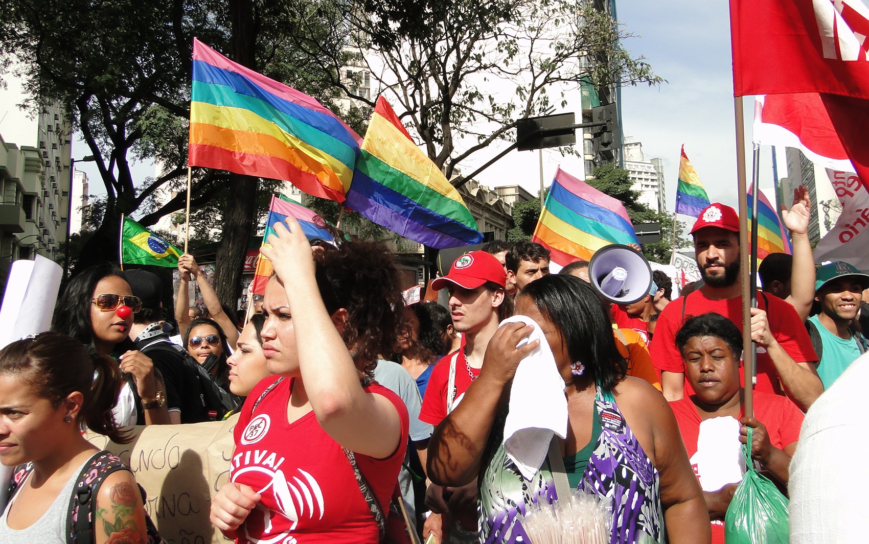 Bandeiras LGBT foram erguidas durante protesto. (Foto: Sara Antunes/G1)