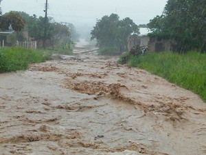 G1 Chuva Forte Casas E Postes Desabam Em Monte Alegre PA