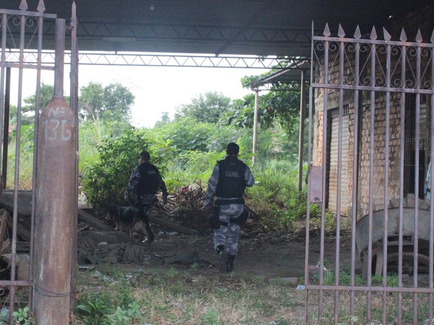 Polícia procura drogas com ajuda de cão  (Foto: Gil Oliveira/ G1)
