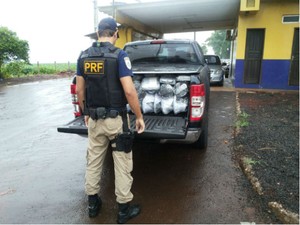 Motorista e passageiros disseram que levariam os produtos para Goiânia (GO) (Foto: PRF/ Digulgação)