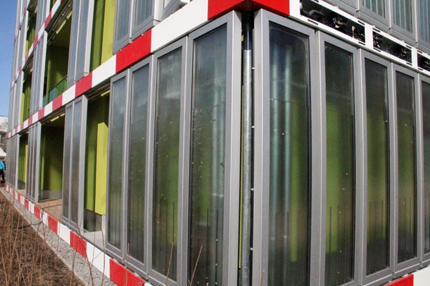 Placas com água e microalgas recebem continuamente nutrientes líquidos e CO2 (Foto: BBC)