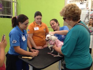 Animais têm tratamento especial na tenda de orientação veterinária (Foto: Mayara Corrêa/G1)
