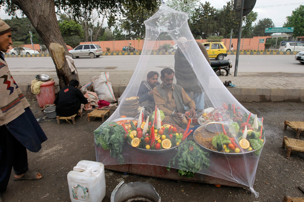 Vendedor de rua usa mosquiteiro para se proteger no Paquistão (Foto: Mohammad Sajjad/AP)