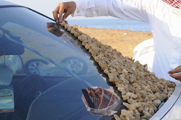 Jovem coloca pedra sobre para-brisa de carro, a nova moda na Arábia Saudita (Foto: Mohamed Al Hwaity/Reuters)
