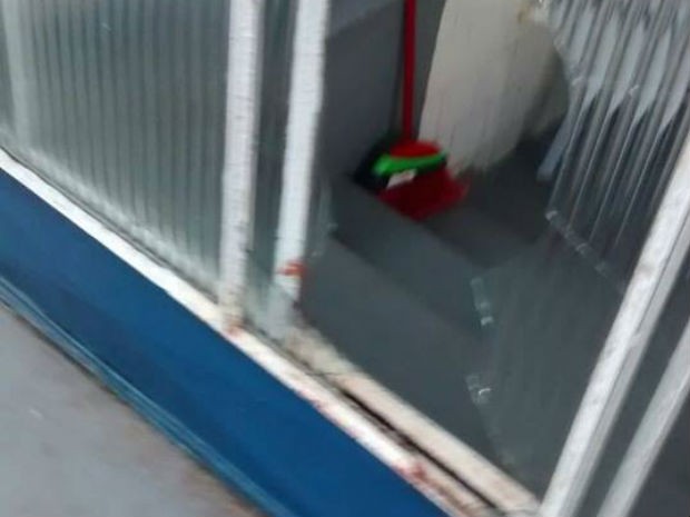 Criana foi arremessada em porta de vidro por brinquedo inflvel (Foto: Arquivo pessoal)