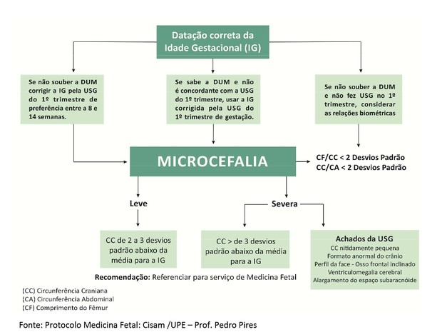 Novo protocolo de microcefalia em Pernambuco estabelece detalhes sobre atendimento de mães e bebês (Foto: Reprodução) Novo protocolo de microcefalia em Pernambuco estabelece detalhes sobre atendimento de mães e bebês (Foto: Reprodução)