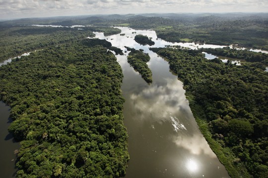 Vista área da floresta amazônica em Altamira, Pará (Foto: Mario Tama/Getty Image)