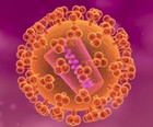 SUS vai oferecer remédio '3 em 1' a quem tem HIV (Divulgação/NIH)