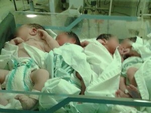 Quatro bebês foram flagrados dividindo o mesmo berço na Maternidade Dona Evangelina Rosa (Foto: Arquivo Pessoal)