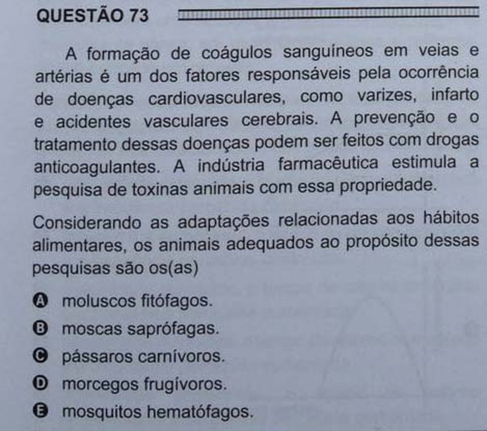 ENEM 2016 - 1º DIA - PROVA BRANCA - QUESTÃO 73 (Foto: G1 )