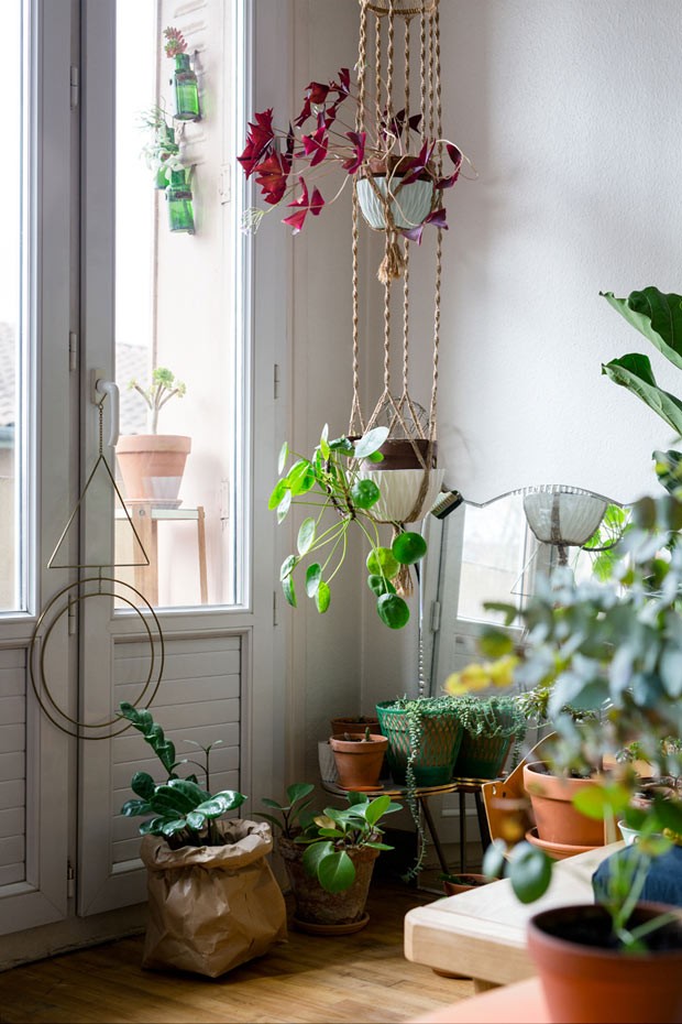 Judith aposta no jardim vertical para o seu lar. Além de otimizar o espaço, também é uma maneira de proteger as plantas dos seus gatinhos (Foto: Lina Skukauske | Urban Jungle Bloggers)