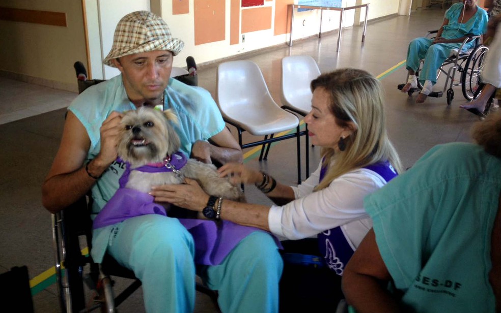 Pacientes do Hospital de Apoio, no DF, recebem visita de pets como parte de terapia (Foto: Yasmim Perna/G1)