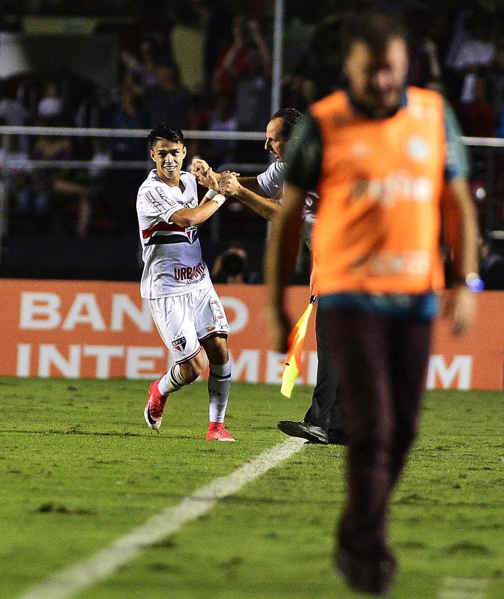 Luiz Araújo cumprimenta Ceni na comemoração do gol contra o Palmeiras (Foto: Marcos Ribolli)