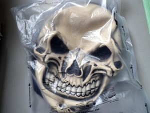Máscara usada por jovem durante brincadeira em padaria de Piracicaba (Foto: Fernanda Zanetti/G1)