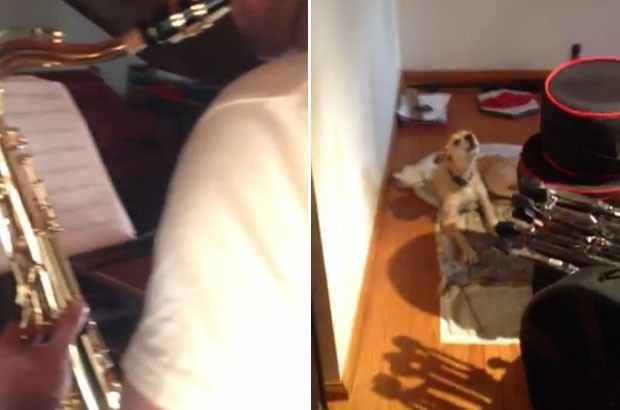 Cão ‘canta’ blues com o dono e faz sucesso na web (Foto: Reprodução/YouTube/RighInTwo)