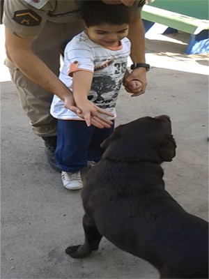 Cadela transforma vida de criança em Divinópois (Foto: Reprodução/Raul Barros)