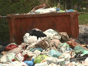 Sem a coleta, animais espalham lixo acumulado. (Foto: Reprodução/TV Tapajós)