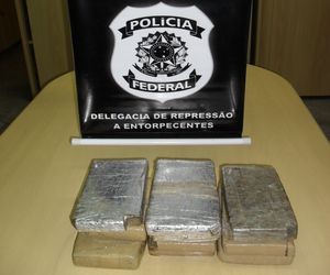 PF apreende 10 kg de maconha na BR 101 em Cristinápolis, SE (Foto: Divulgação/PF-SE)