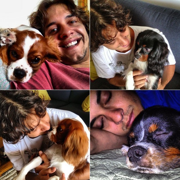 Apaixonado por pets: Gui tem várias fotos no Instagram de seus cães de estimação, Chico e Zeca, da raça Cavalier Kig Charles Spaniel (Foto: Reprodução)