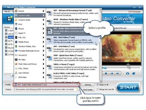 iwisoft flash swf to video converter no audio