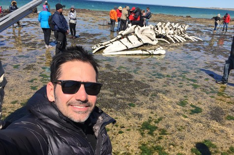 diretor de 'Ligações perigosas', Vinícius Coimbra, com o esqueleto de uma baleia produzido para a produção (Foto: Vinícius Coimbra)
