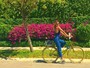 Carolina Dieckmann passeia de bicicleta e fã elogia: 'Linda demais'