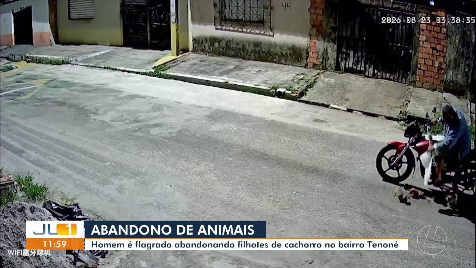 Câmera de segurança registra abandono de filhotes de cachorro no bairro Tenoné​‌​