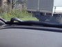Cobra aparece em para-brisa de carro em movimento e assusta australianos