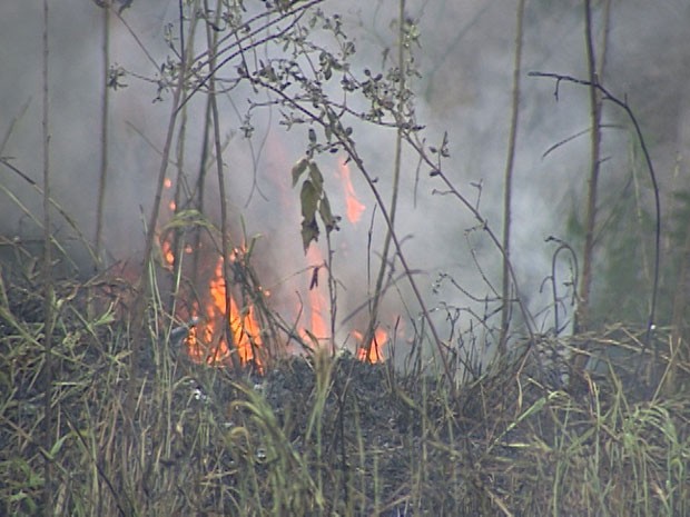 queimadas agravam situação de tempo seco em Divinópolis MG (Foto: Reprodução/TV Integração)