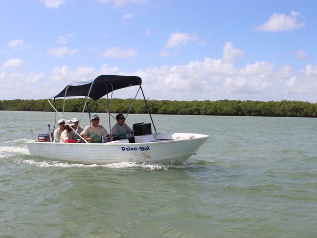 Projeto Peixe Boi usa sonar para fazer pesquisas em Mamanguape, na Paraíba (Foto: Acervo / Fundação Mamíferos Aquáticos)